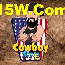 Experiência VIP 27E